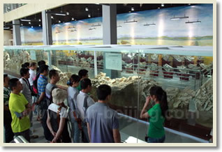 Hezheng Museum of Paleontologic Fossils